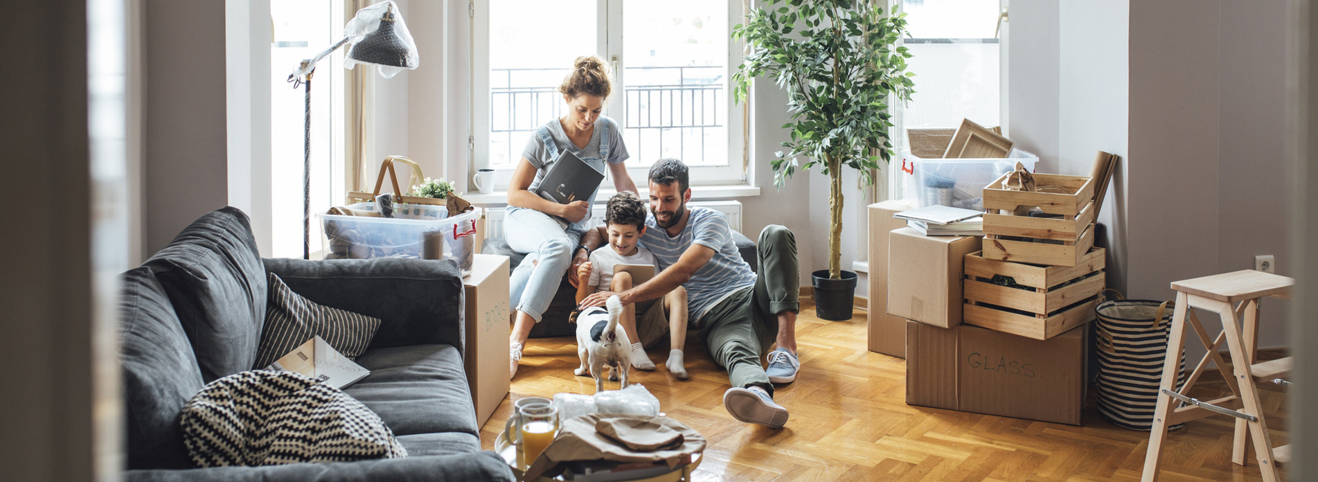 Ajust à Vaulx-Milieu, membre du réseau expert Vachette